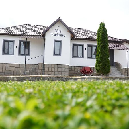Vila Exclusive Târgu Jiu Εξωτερικό φωτογραφία
