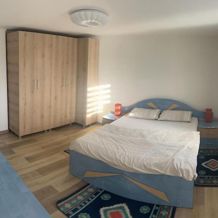 Vila Exclusive Târgu Jiu Εξωτερικό φωτογραφία