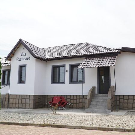 Vila Exclusive Târgu Jiu Εξωτερικό φωτογραφία