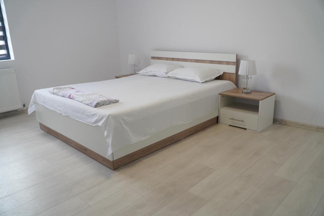 Vila Exclusive Târgu Jiu Εξωτερικό φωτογραφία