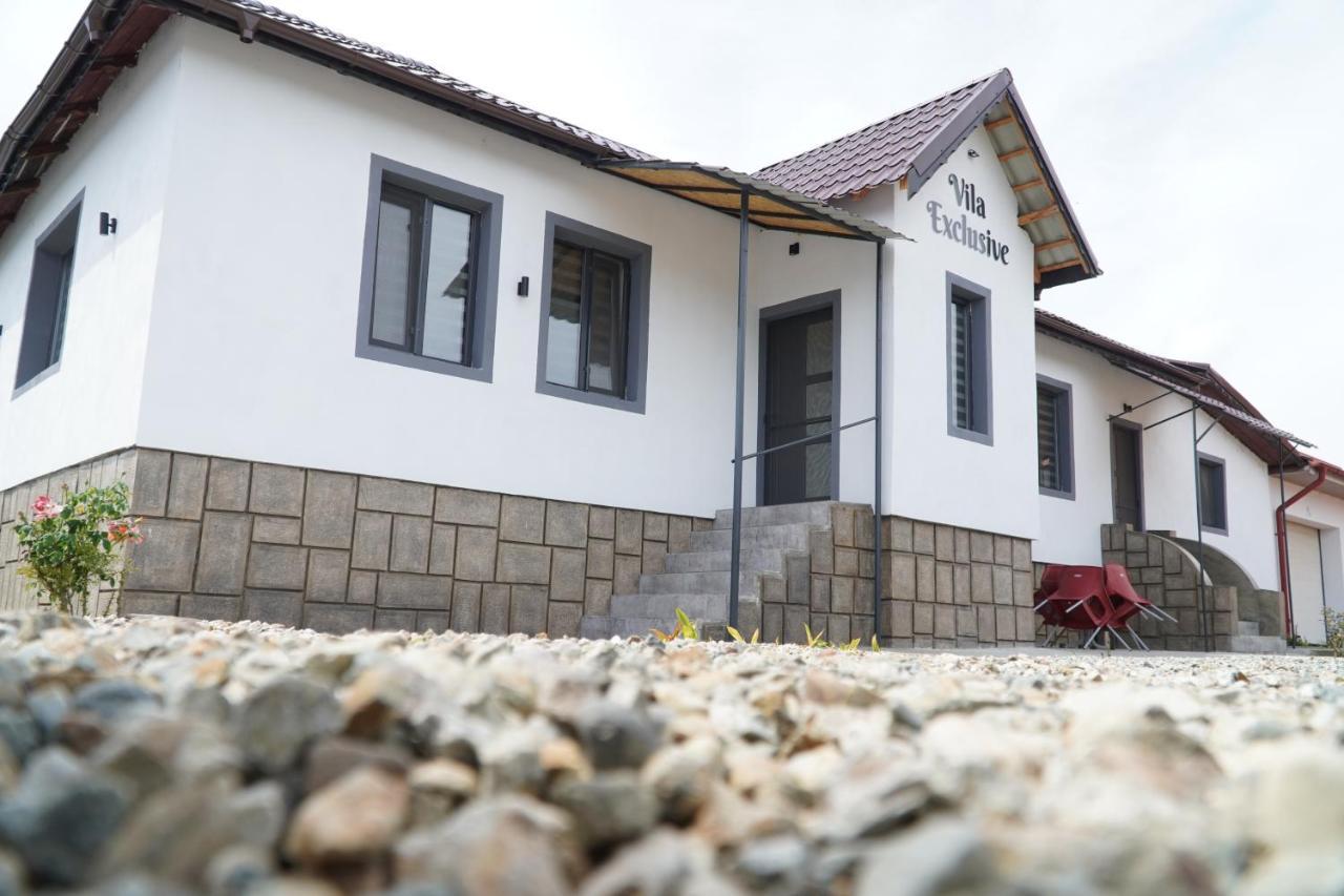 Vila Exclusive Târgu Jiu Εξωτερικό φωτογραφία